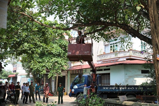 Sở GTVT trả lời kết luận của Chủ tọa tại phiên chất vấn và trả lời chất vấn kỳ họp thứ 3 HĐND TP về xử lý lấn chiếm lòng đường, vỉa hè